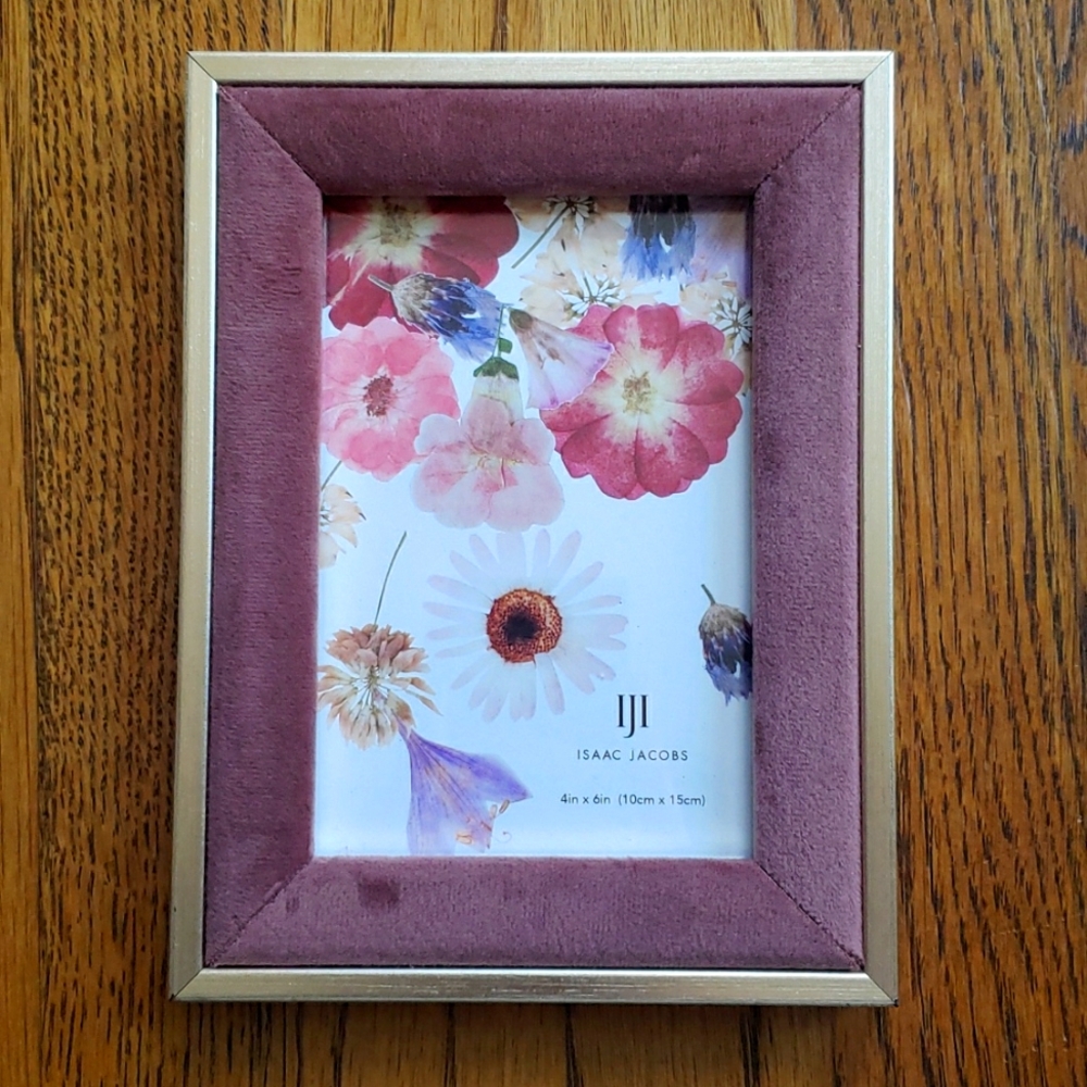 EUC Isaac Jacobs 4inx6in Picture Frame